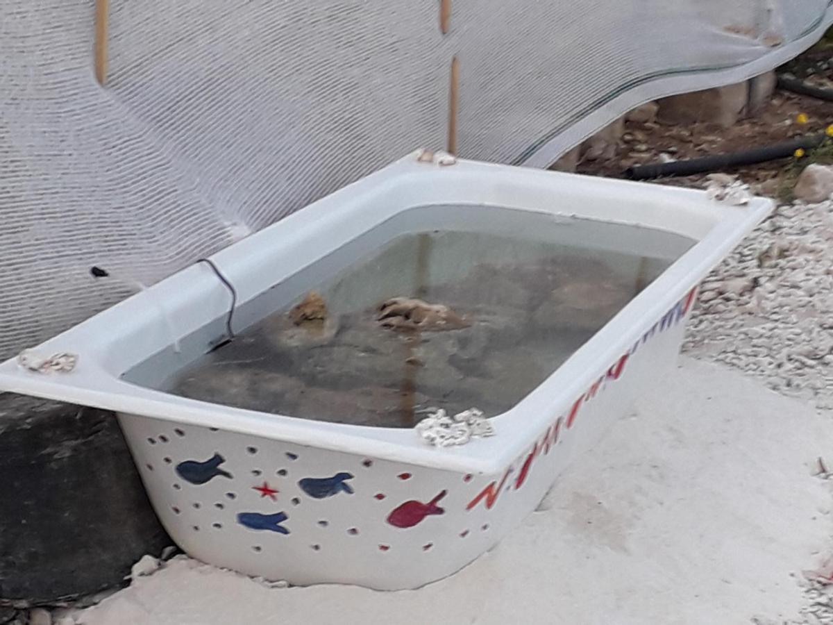 פקינו Residenceu Zu Gnaziu מראה חיצוני תמונה